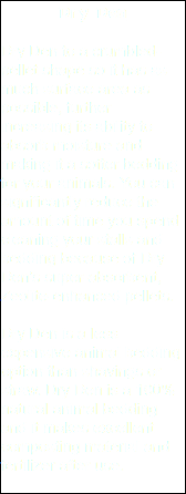 Dry Den Dry Den to a crumbled-pellet shape so it has as much surface area as possible, further increasing its ability to absorb moisture and making it a softer bedding for your animals. You can significantly reduce the amount of time you spend cleaning your stalls and bedding because of Dry Den’s super-absorbent, Zeolite-enhanced pellets. Dry Den is a less expensive animal bedding option than shavings or straw. Dry Den is a 100% natural animal bedding and it makes excellent composting material and fertilizer after use. 