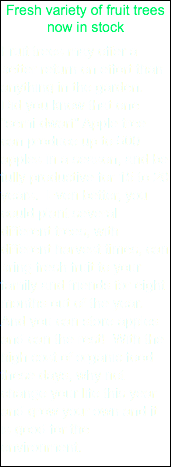 Fresh variety of fruit trees now in stock Fruit trees may offer a better return on effort than anything in the garden. Did you know that one "semi-dwarf" Apple tree can produce up to 500 apples in a season, and be fully productive for 15 to 20 years. Even better, you could plant several different trees, with different harvest times, can bring fresh fruit to your family and friends for eight months out of the year. And you can store apples and can the rest! With the high cost of organic food these days, why not change your life this year and grow your own and it is good for the environment.